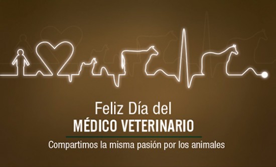 cartel_feliz_dia_del_veterinario_para_compartir