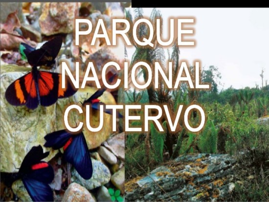 parque-nacional-cutervo-1-638